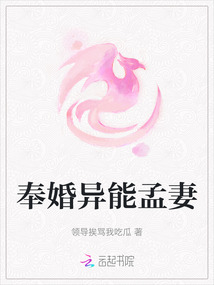 奉婚異能孟妻