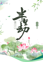 重生之半生劫在線閱讀