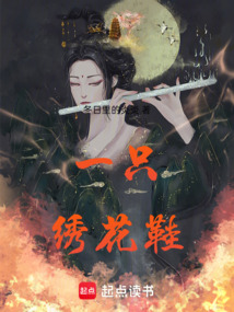 一只繡花鞋