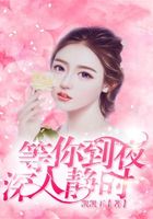 等你到夜深人靜時在線閱讀