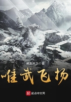 唯武飛揚在線閱讀