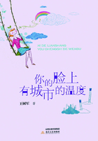 你的脸上有城市的温度在线阅读
