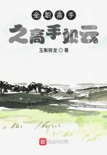 全職高手之高手如云