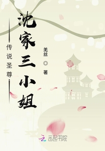 傳說圣尊沈家三小姐