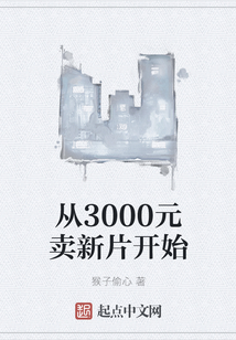 從3000元賣新片開始