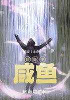 翻身吧，咸鱼！