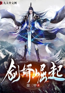 剑婿崛起 cover