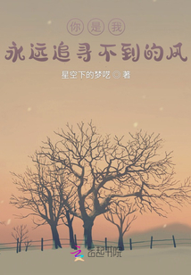 你是我永遠追尋不到的風