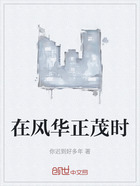 在风华正茂时在线阅读