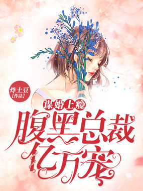 谋婚上瘾：腹黑总裁亿万宠在线阅读