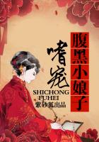嗜寵腹黑小娘子在線閱讀