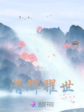 清辉曜世在线阅读