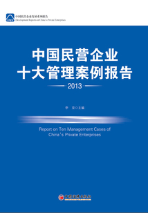 中國民營企業十大管理案例報告2013