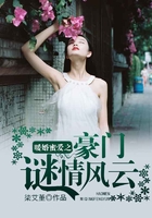 暖婚蜜爱之豪门谜情风云