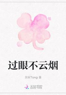 過眼不云煙