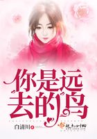 你是遠去的鳥在線閱讀
