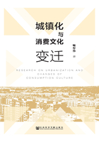 城鎮化與消費文化變遷在線閱讀