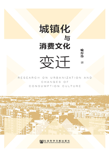 城镇化与消费文化变迁
