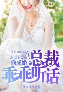 一偷成婚：總裁乖乖聽話