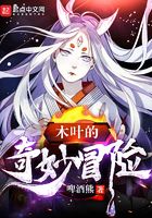 木叶的奇妙冒险在线阅读