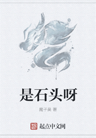 是石頭呀在線閱讀