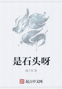 是石頭呀