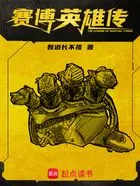 赛博英雄传在线阅读
