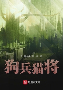 狗兵猫将