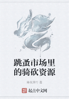 跳蚤市场里的骑砍资源