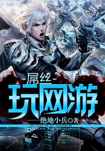 屌丝玩网游