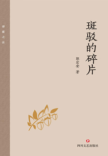 斑駁的碎片