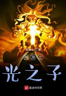 網游之光之子