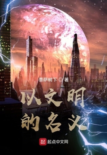 以文明的名义