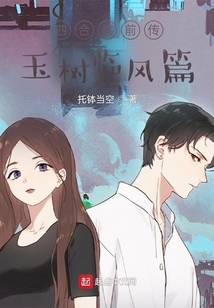 四合院前傳玉樹臨風篇