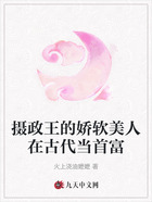 攝政王的嬌軟美人在古代當(dāng)首富在線閱讀