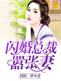 閃婚總裁囂張妻