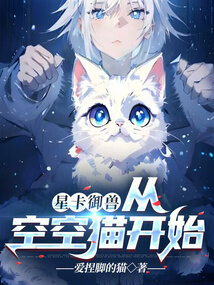 星卡御獸:從空空貓開始