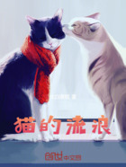 貓的流浪在線閱讀