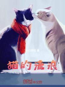貓的流浪