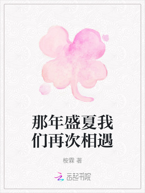 那年盛夏我们再次相遇在线阅读