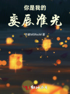 你是我的娈辰淮光在线阅读