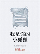 我是你的小狐狸在线阅读