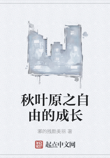秋葉原之自由的成長