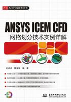 ANSYS ICEM CFD网格划分技术实例详解在线阅读