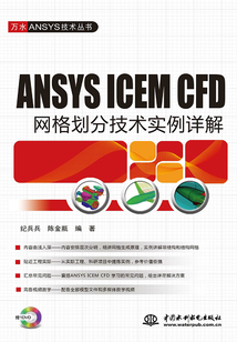 ANSYS ICEM CFD網(wǎng)格劃分技術(shù)實(shí)例詳解