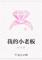 我的小老板在線閱讀