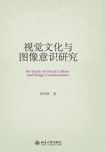 視覺文化與圖像意識(shí)研究