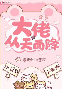 大佬從天而降
