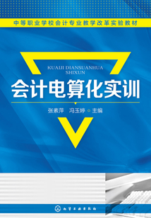 會計電算化實訓