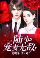 陆少,宠妻无敌在线阅读